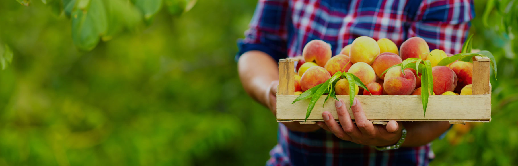 천운농협의 행복