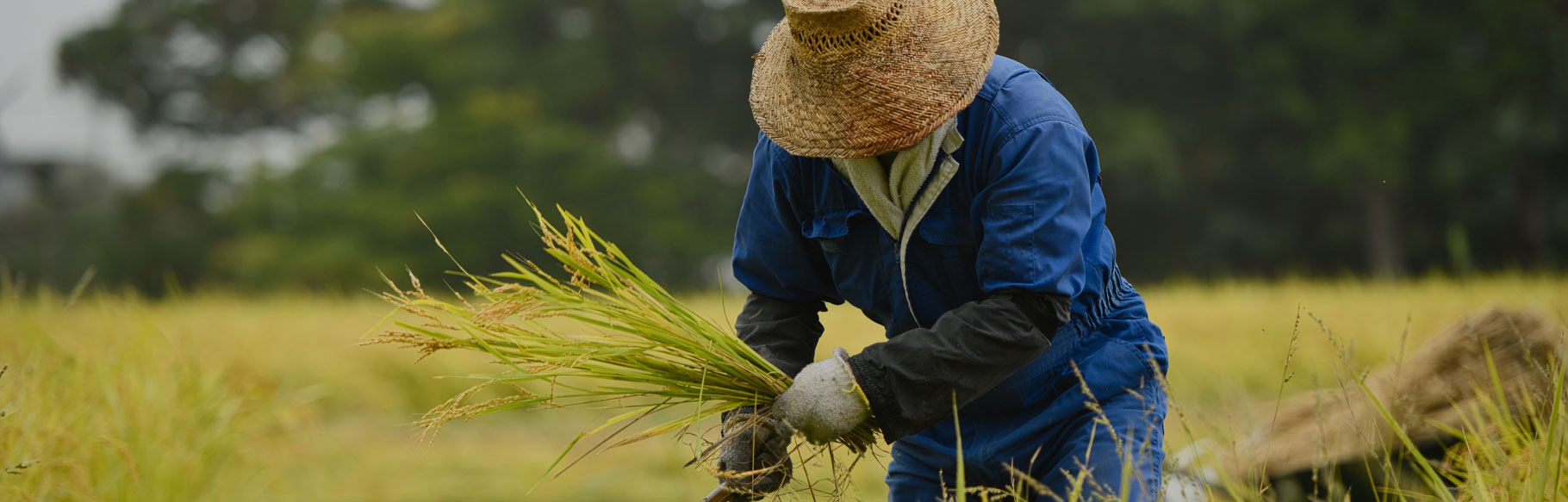 천운농협의 행복